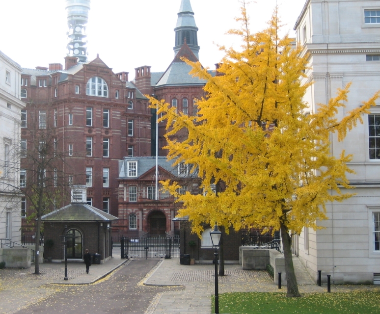 英国最受中国学生欢迎的大学——伦敦大学学院