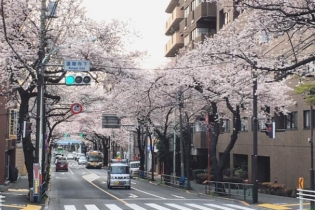 日本签证在留资格(日本签证在留资格有哪几种)