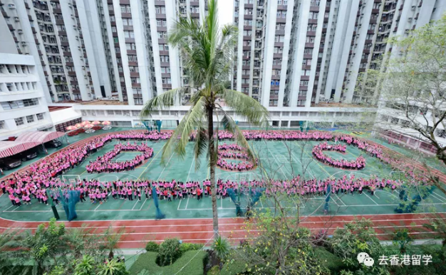 加拿大地利亚国际学校怎么样？