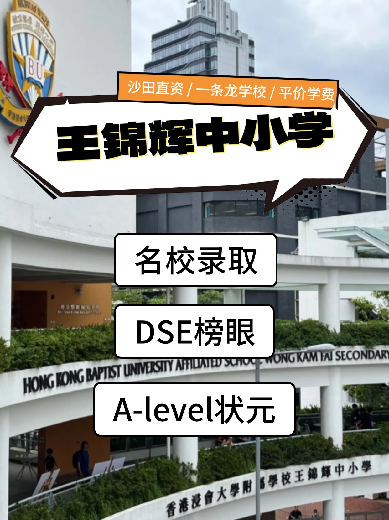 香港王锦辉中小学怎么样？