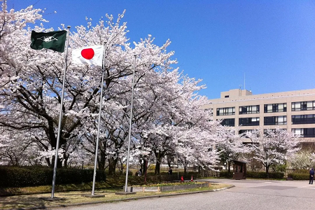 东京大学建筑学专业如何？