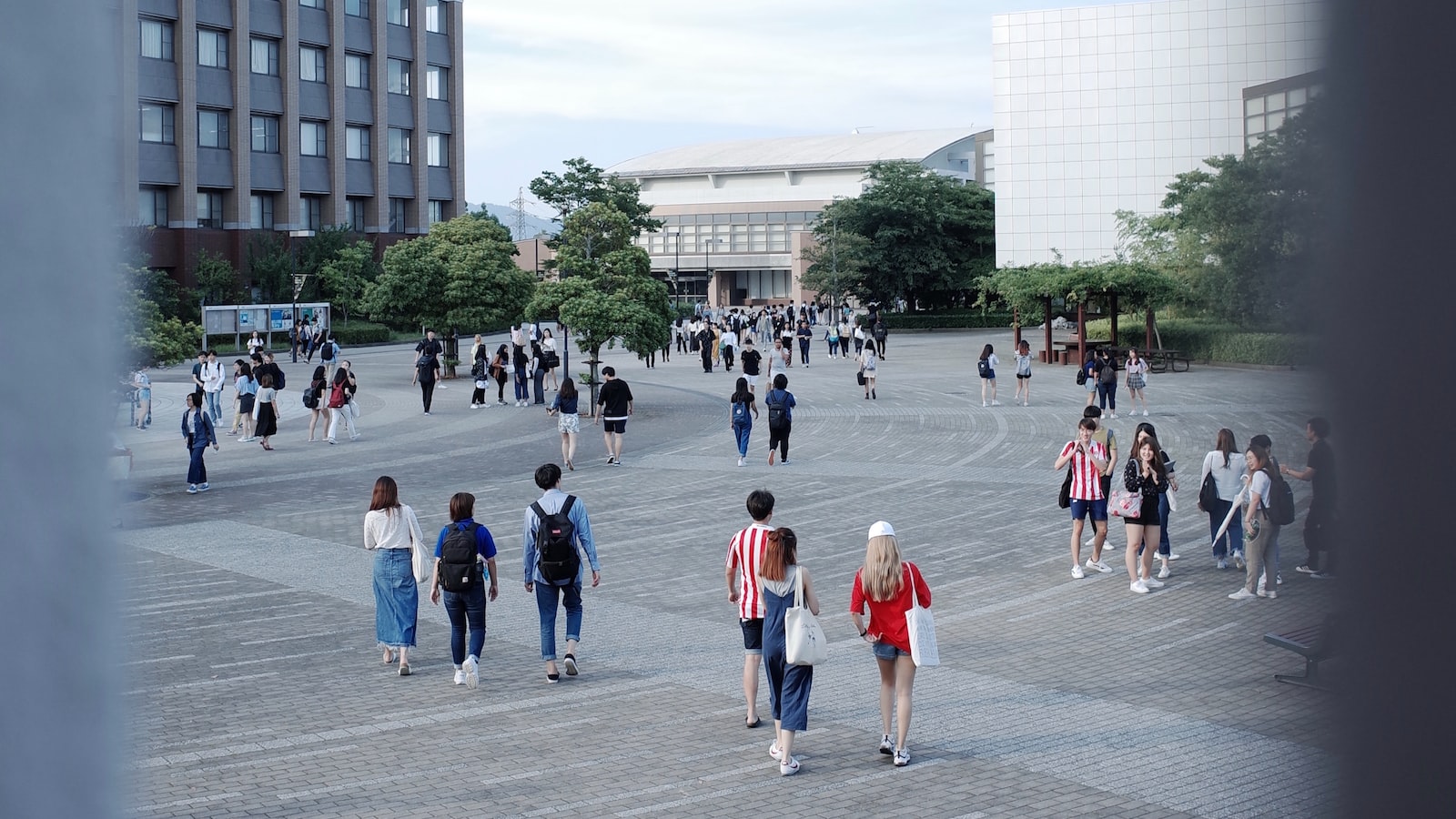 深国交国际学校位于深圳 具有悠久历史和顶尖生源