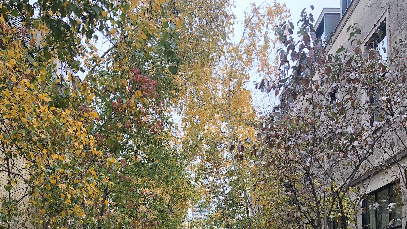 成绩不好适合读成都美视-挖掘学习潜力开启国际教育新天地