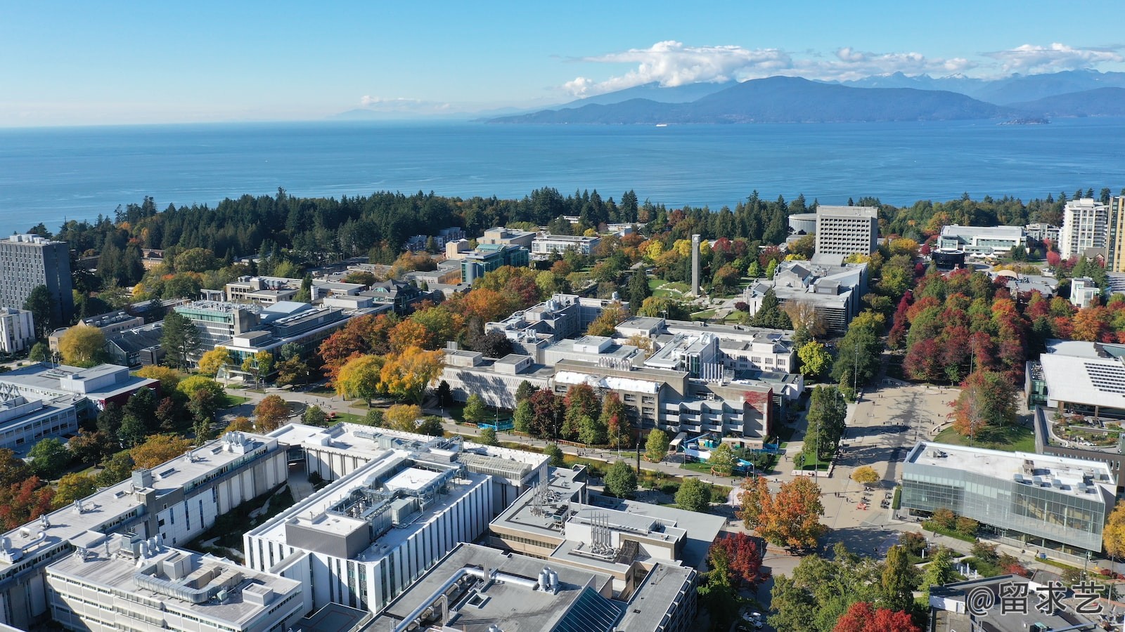 怎样能去早稻田大学留学