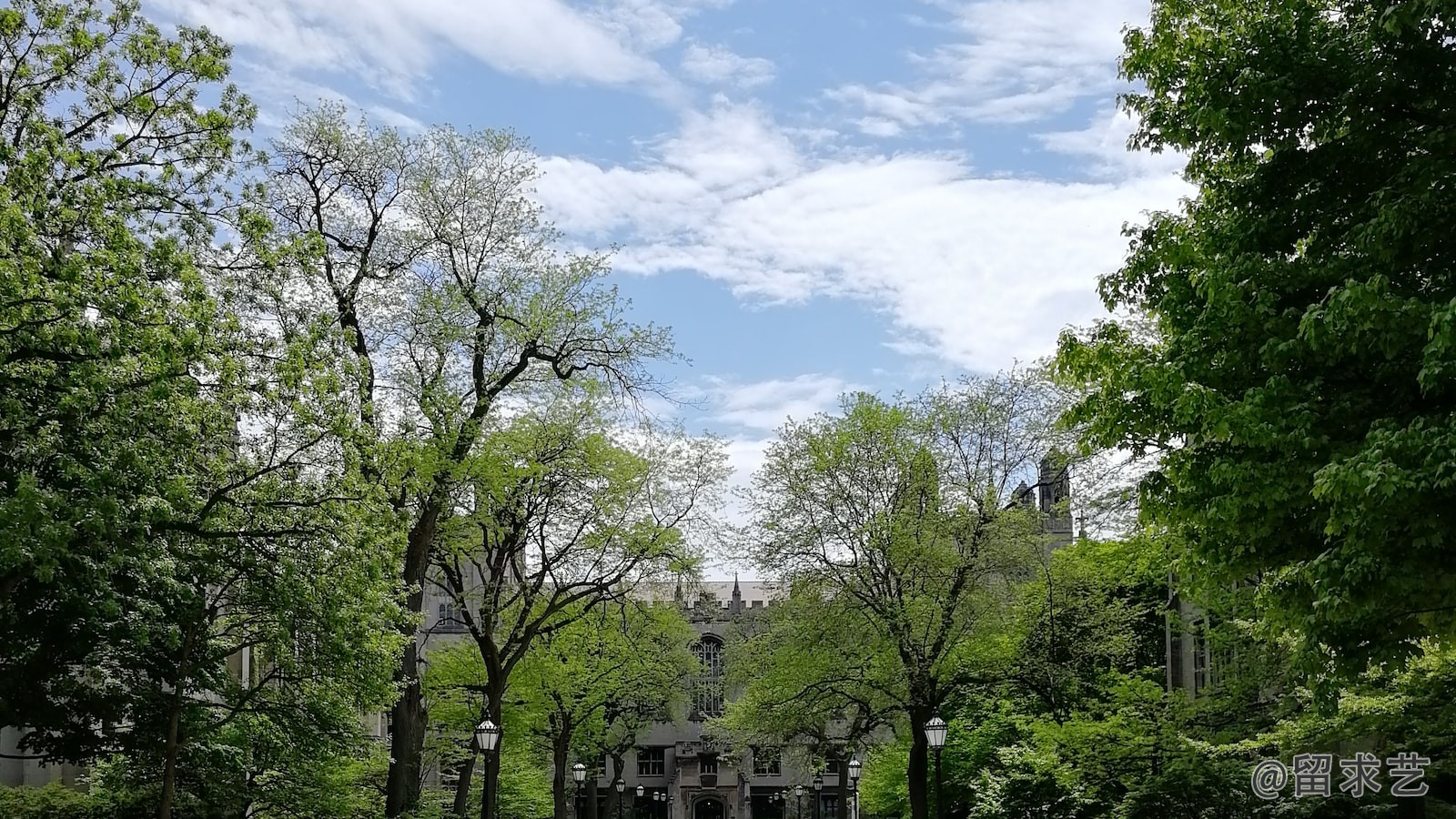 昆士兰大学的旅游酒店管理到底水不水