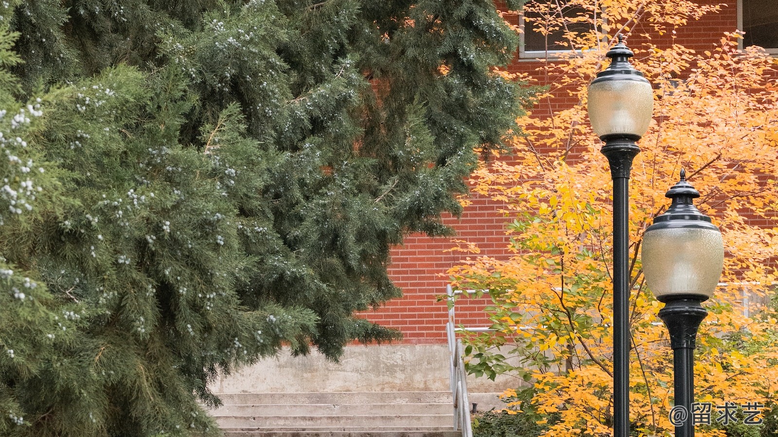 澳大利亚有哪些医学院