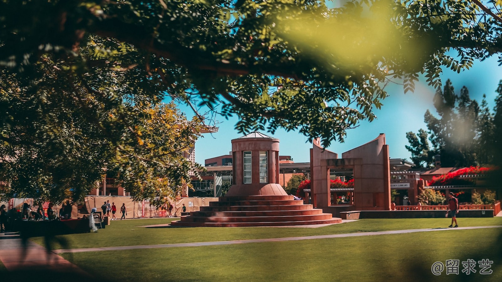 干细胞与再生医学美国哪个大学最好