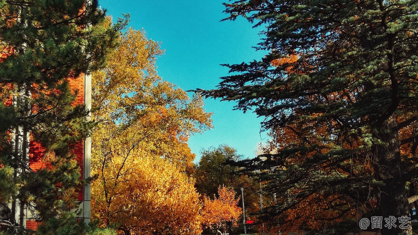 南京大学建筑系怎么样