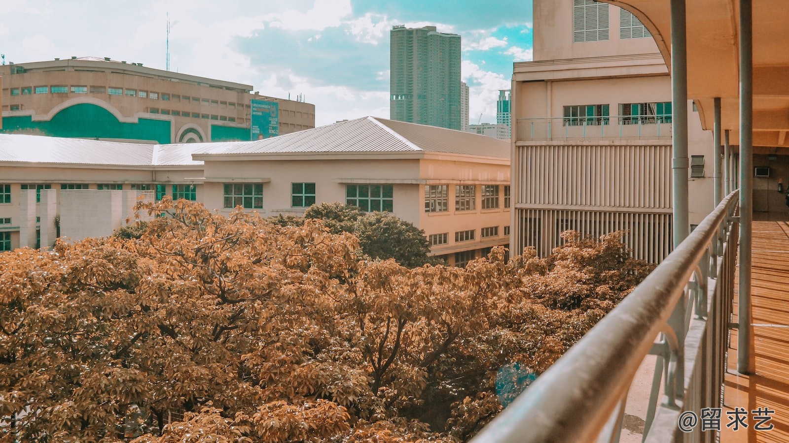 多伦多大学景观设计专业研究生几年