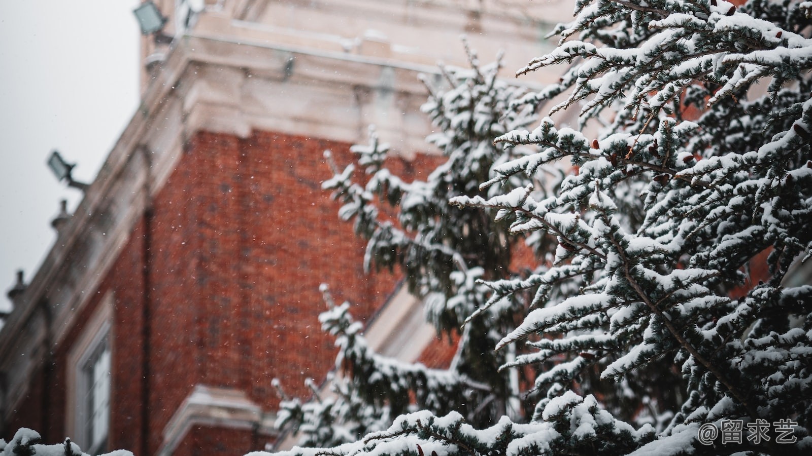 rmit是什么大学