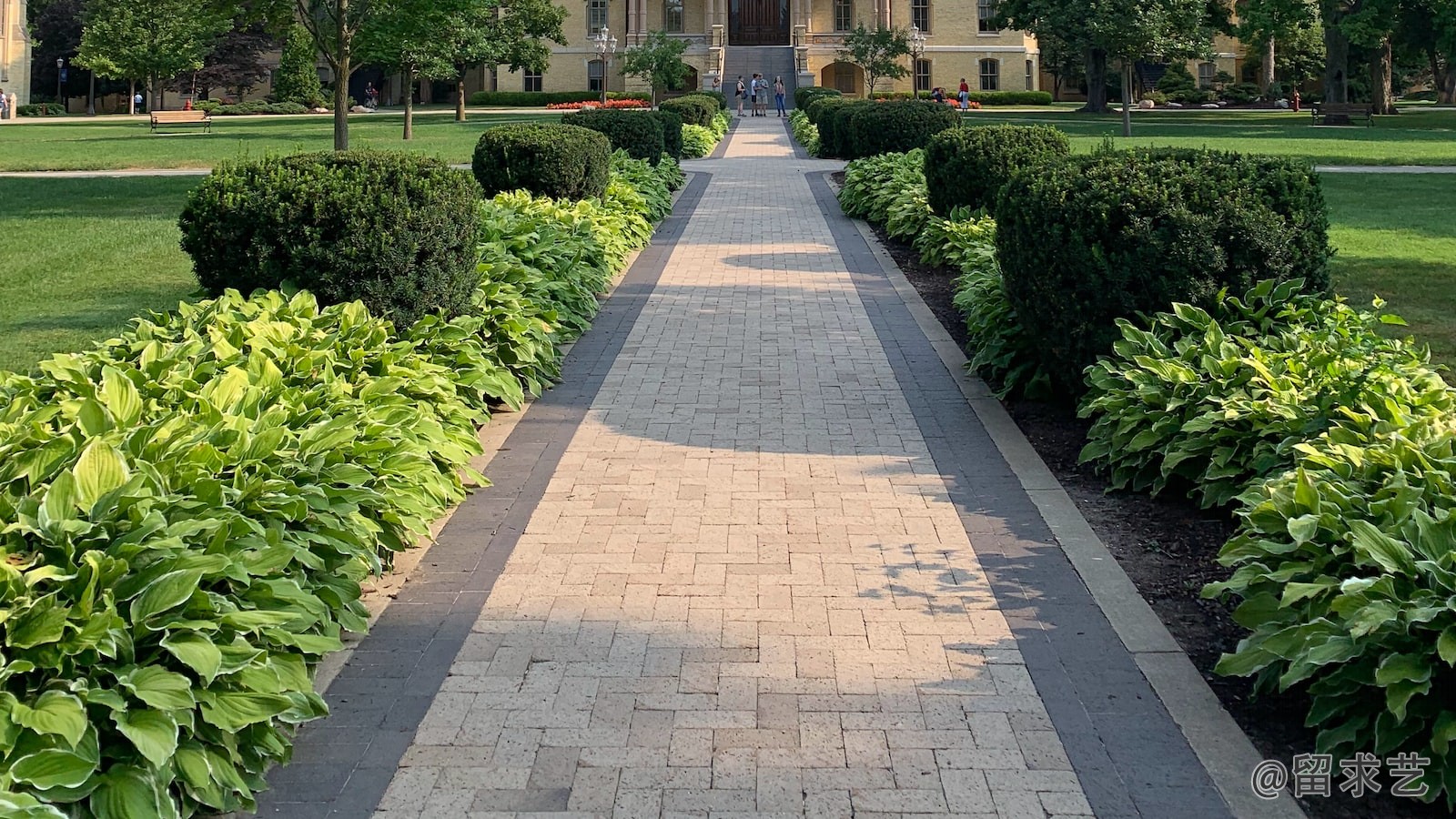 华中师范大学社会学专业介绍排名好不好及就业前景