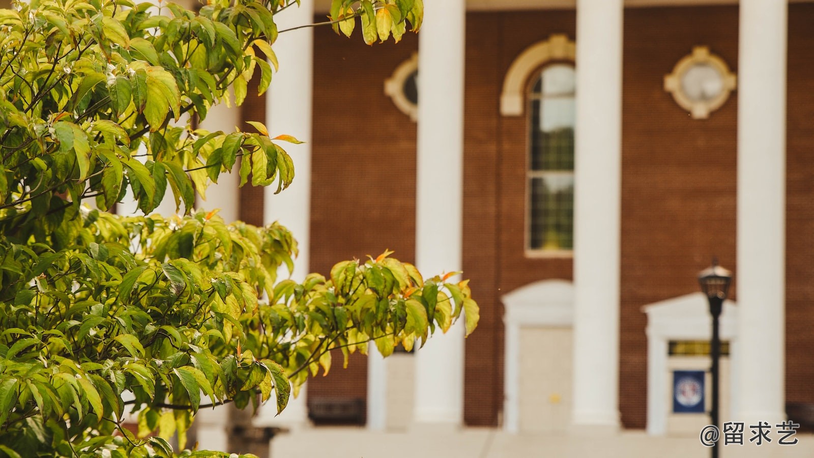 美国留学塔尔萨大学