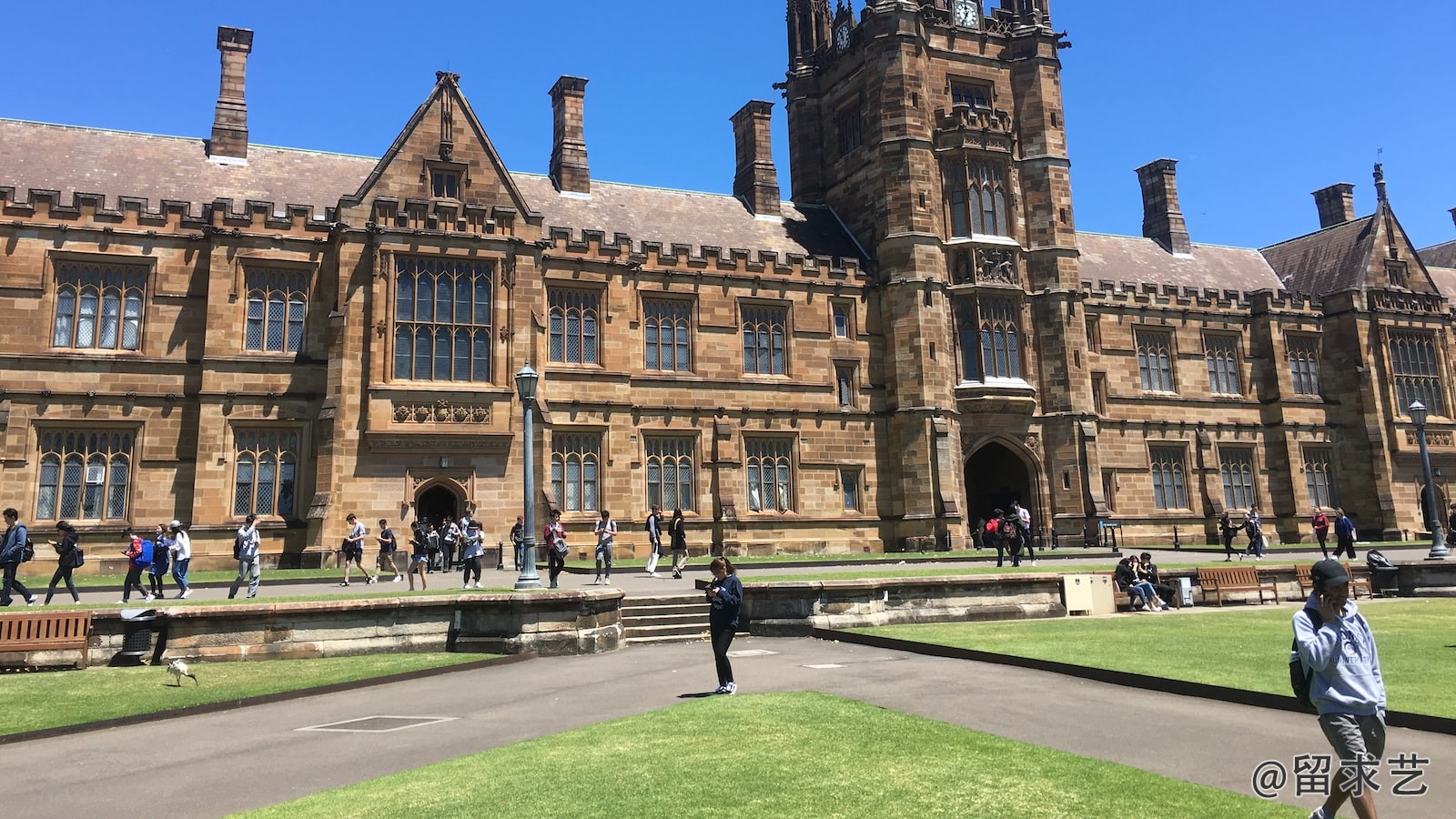 new york university tondon 和纽约大学的区别