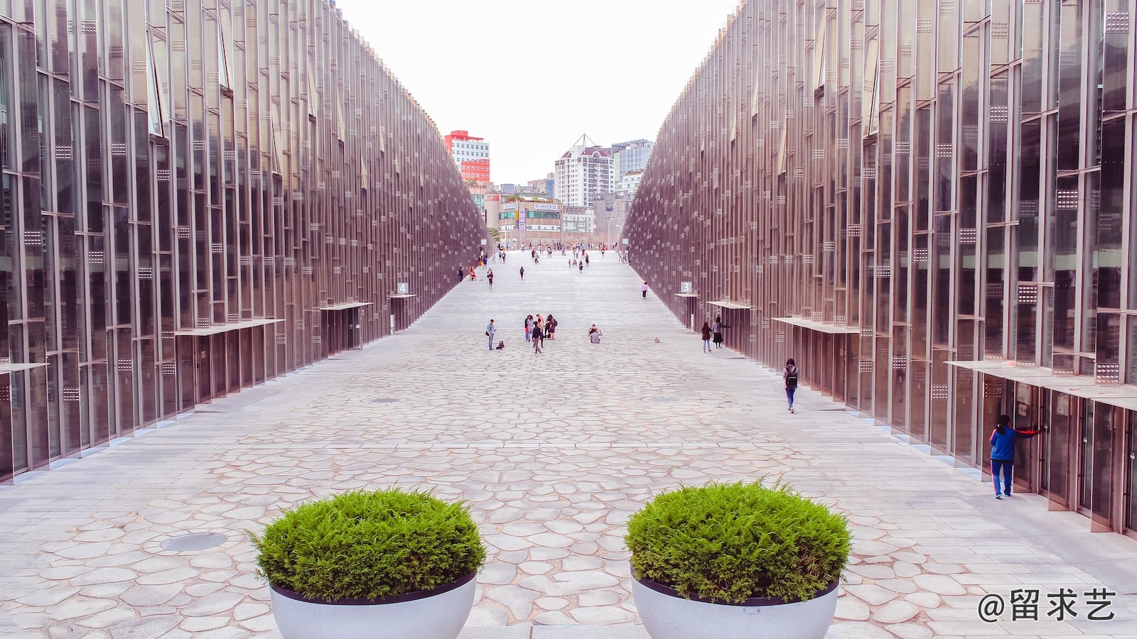 布莱恩特大学在哪个城市