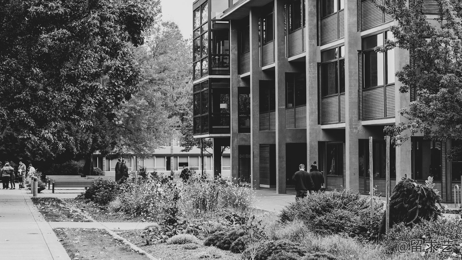 阿德雷德大学The University of Adelaide