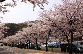 金浦大学