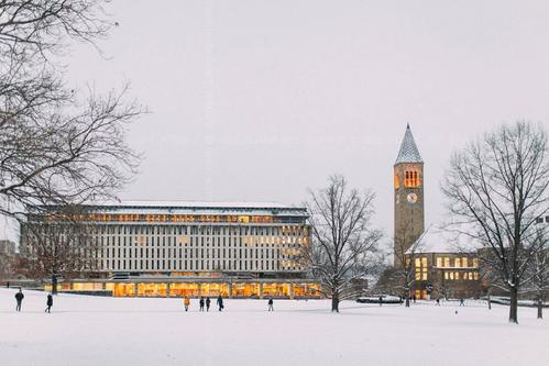 康奈尔大学学费情况一览！