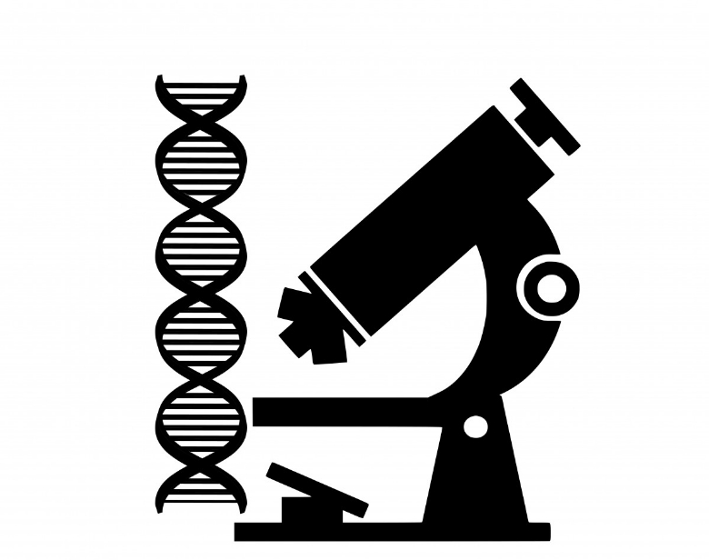 2023年最新伦敦大学学院生物科学专业排名