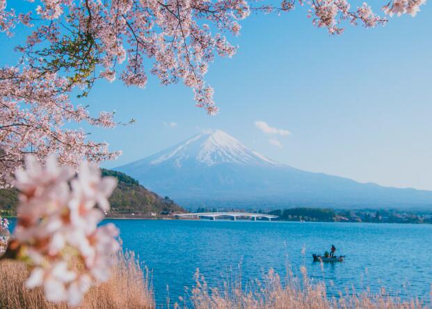 日本3年内多次往返签证吗(日本签证3年多次往返条件)