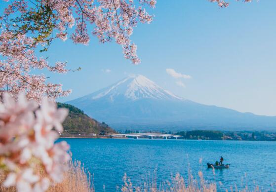 申请日本签证费用多少钱(日本签证需要多少费用)