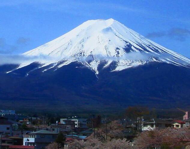 上海日本签证客服电话(上海市日本签证中心地址)