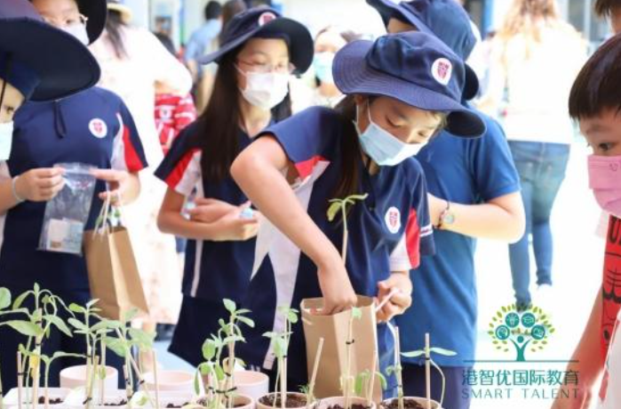 香港挪威国际学校怎么样？