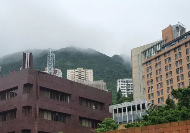 香港大学图片校园美景有哪些（香港大学毕业珍藏版美图）