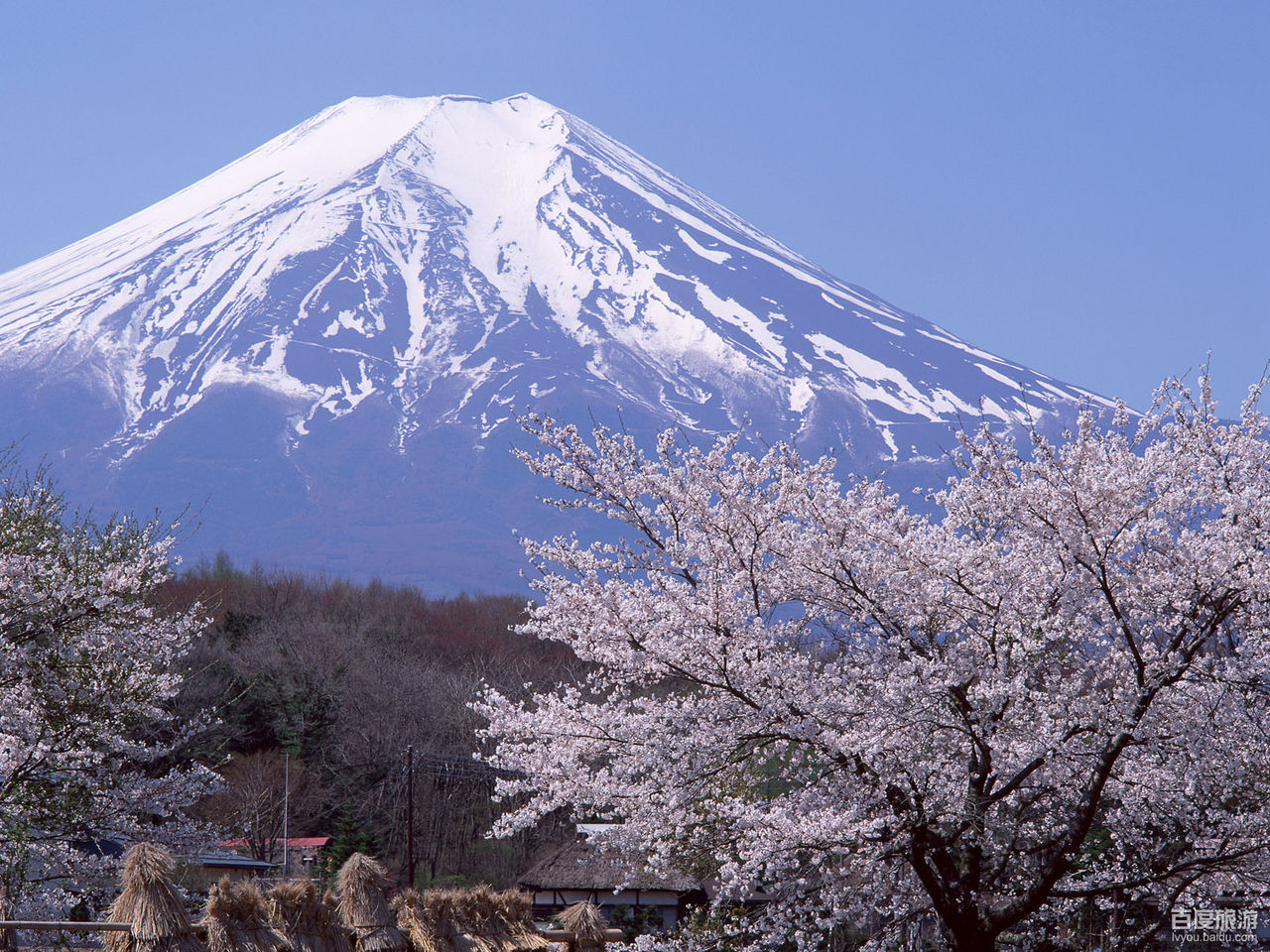 日本旅游攻略_日本旅游攻略2015_日本旅游签证_日本旅游价格 - 休闲灌水 - 经管之家(原人大经济论坛)