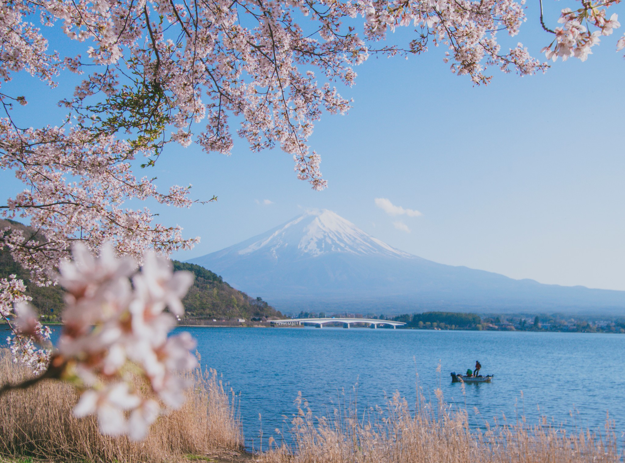 日本旅游_日本旅游购物必买单品 - 随意优惠券