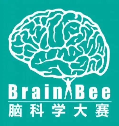 【BrainBee】|牛剑、藤校生物系通行证！脑科学知名期刊Neuron杂志力荐的黄金竞赛