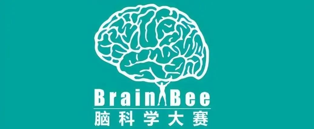 准备Brainbee竞赛备考难点有哪些？Brainbee竞赛备考书籍（电子版可领）！