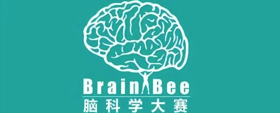 Brain bee脑科学竞赛概述！备赛组别/备考建议/培训安排~