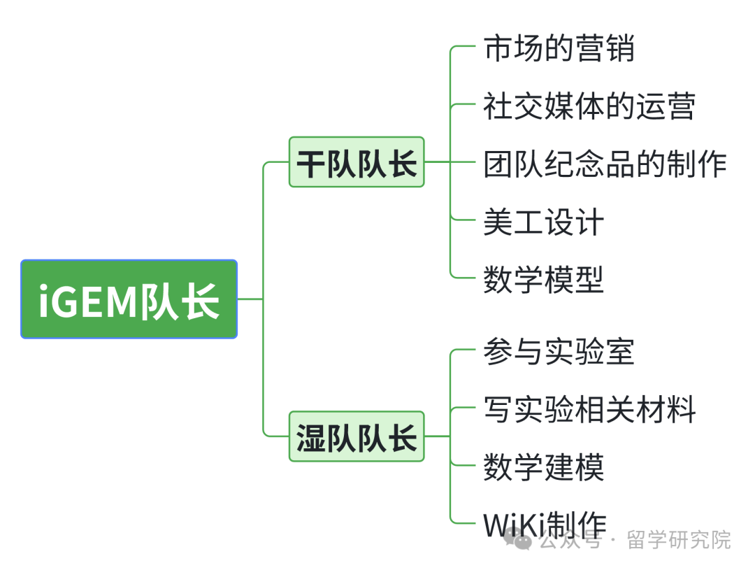 iGEM竞赛是什么？iGEM竞赛为何如何受欢迎？iGEM竞赛适合什么学生参加？