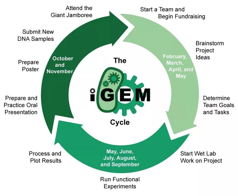 iGEM国际基因工程机器大赛，2023组队报名进行中！