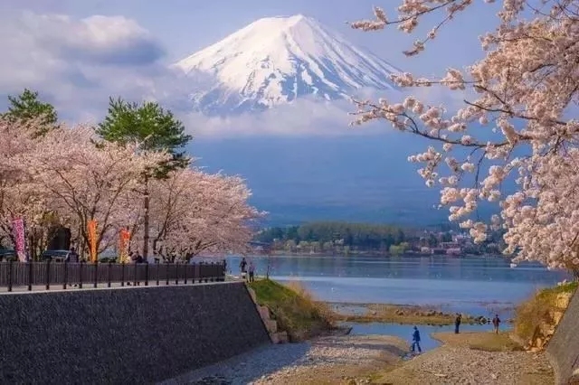 艺术生本科申请日本留学需要满足那些条件?