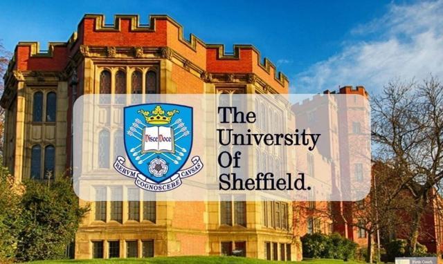 英国sheffield谢菲尔德大学排名怎么样？