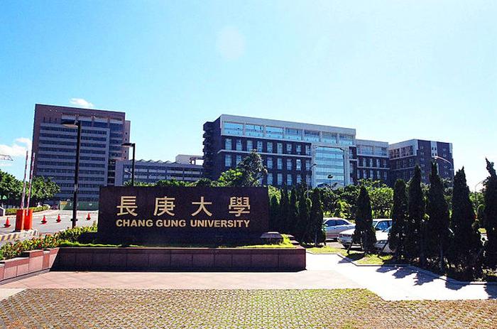 长庚大学申请