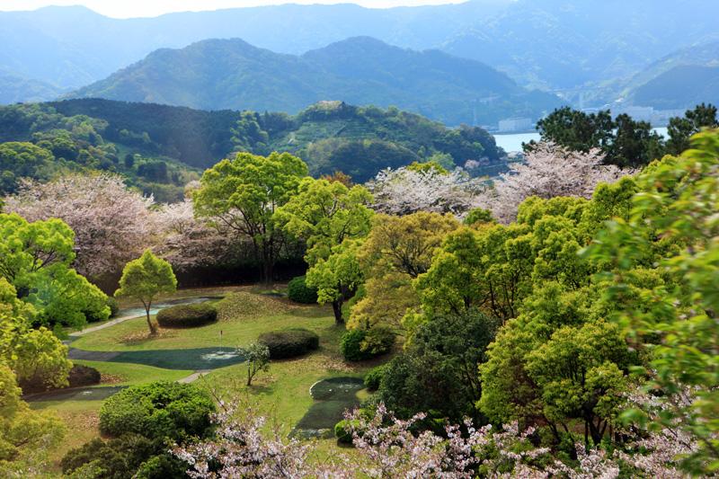 日本留学