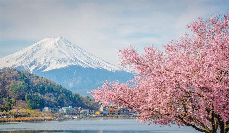 日本留学