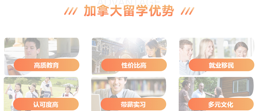 靠谱！福建发布：博士留学中介top5名单一览